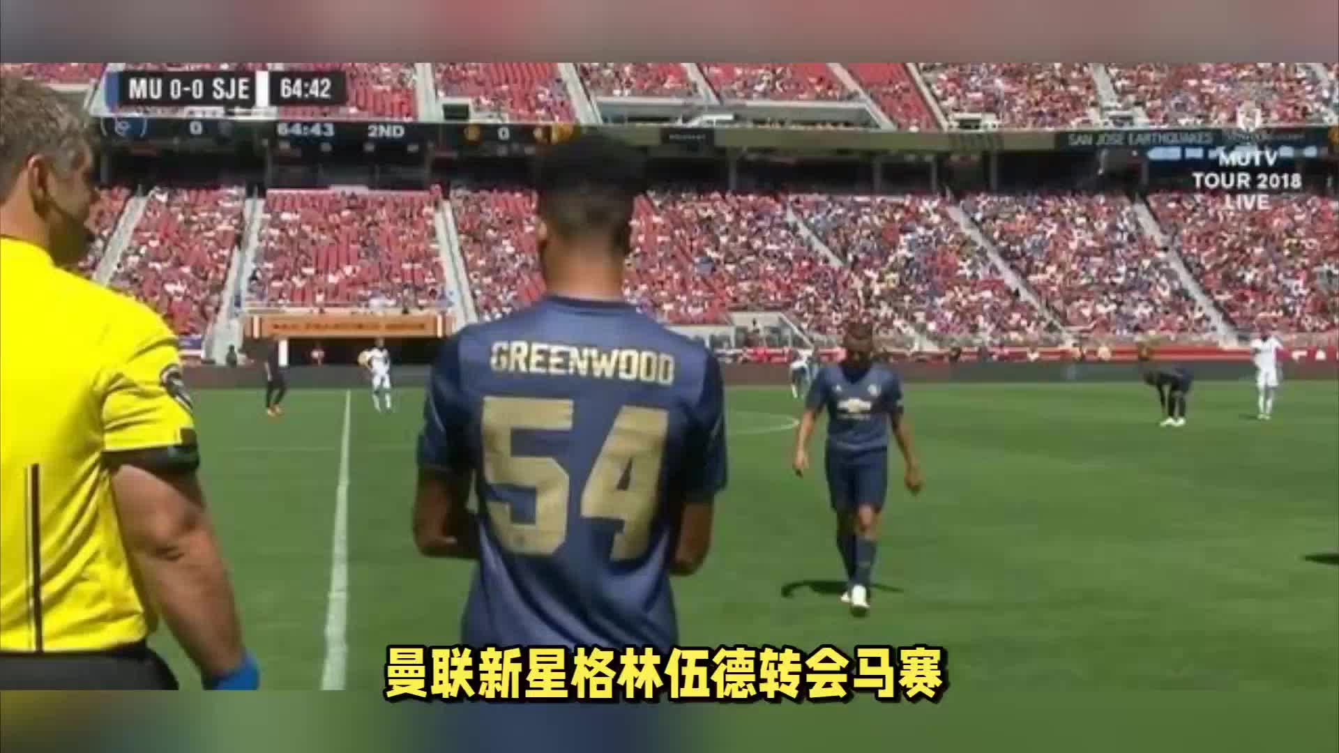 內馬