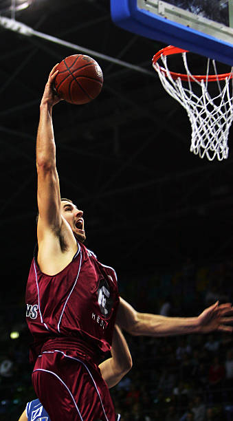 世界网坛竞 世界网坛竞